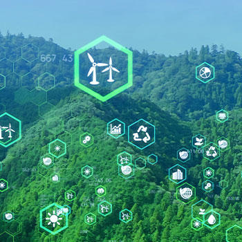Image of sustainable energy themed icons, overlaid on a background of forestry